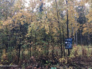 1004 E Carney Rd, Tanaina, AK 99654