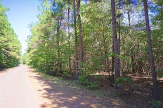 Tract 5 Cr 245 S, Kilgore, TX 75662