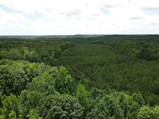 0 Candy Ln Unit 10199196, Stantonville, TN 38379