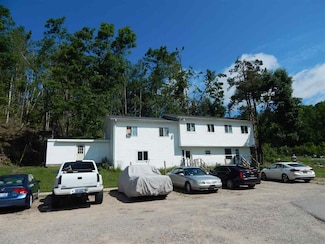 6888 N Conway Rd, Alanson, MI 49706