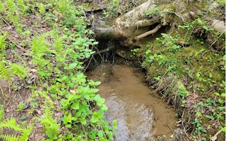 LOT27 Oak Ridge Way, East Ellijay, GA 30536