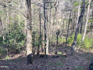 0 York Cabin Heidi Hill Ln Rd Unit 7, Butler, TN 37640