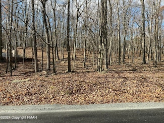 229 Forest Ridge Dr, Lackawaxen Township, PA 18428