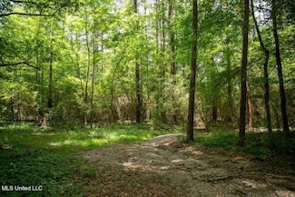 0 Ashley Rd Unit 21857909, Brandon, MS 39042