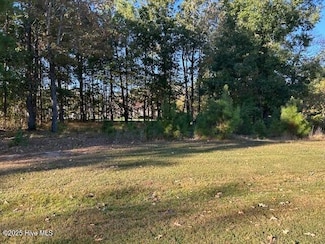 Lot 14 N Cape Fear Dr, Hertford, NC 27944