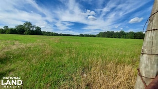 0 Hwy 519 0 Ew Morgan Unit 17222611, Arcadia, LA 71003