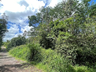 0 King Kamehameha Blvd Unit 702638, Kurtistown, HI 96760