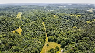 660 Vaden Hill Ln, Bethpage, TN 37022
