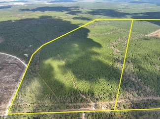 T-3 Farm To Market Road 247, Huntsville, TX 77340