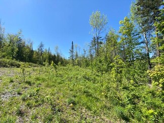 L3 Greenville Rd, Monson, ME 04464