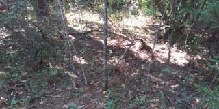 0 County Road 75, Avon, AL 36312