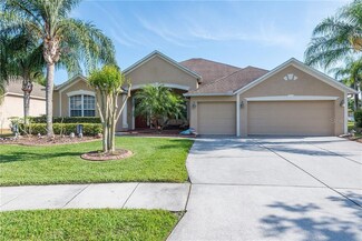 26840 Shoregrass Dr, Wesley Chapel, FL 33544