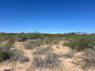 TBD 5 AC Lot C Libertine Ln, Benson, AZ 85602
