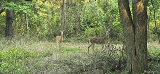 000F N Bay Rd, Barry Township, MI 49046