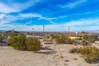 0 Sherman Hoyt Ave Unit OC24239471, Twentynine Palms, CA 92277