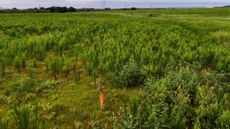 TBD Highway 287, Quanah, TX 79252