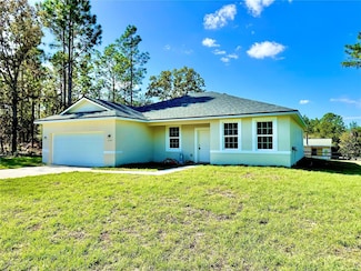10984 N G Martinelli Blvd, Citrus Springs, FL 34433