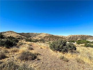 0 Big Springs Rd Unit HD24139269, Agua Dulce, CA 91390
