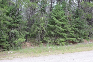 0 Lot 11 Diamond Dr, Newport, WA 99156