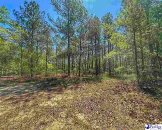 TBD Brown Ln, Dillon, SC 29536