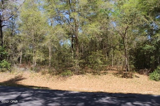 2905 W Gardenia Dr, Citrus Springs, FL 34434