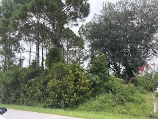 69 Felwood Ln, Palm Coast, FL 32137