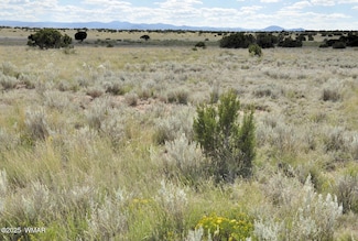 232 Acres River Springs Ranch, St. Johns, AZ 85936