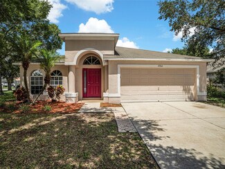 2744 Pankaw Ln, Valrico, FL 33596