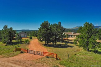 7051 County Rd 71, Guffey, CO 80820