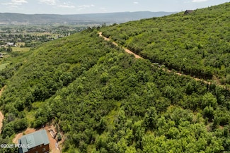 102 Alphorn Way Unit 102, Midway, UT 84049