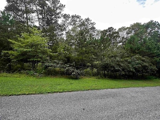 Lot 89 Cobalt Bay Dr, Shirley, AR 72153