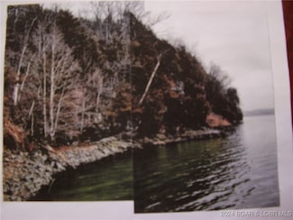 tbd Badger Rd, Buffalo Township, MO 65078