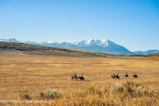 6800 Upper Cattle Creek Rd, Carbondale, CO 81623