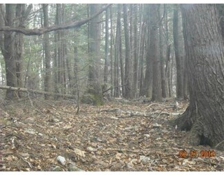 0 Chestnut Mountain Rd P:3 Unit 71373145, Hatfield, MA 01038