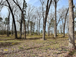 3.48 Roberts Ln, Diboll, TX 75941