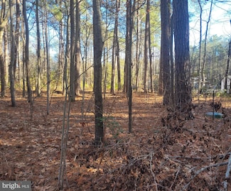 Lot 8 Diamond Dr, Hague, VA 22469