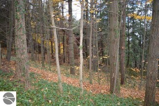 0 Unit #6 Plum Dr, Williamsburg, MI 49690
