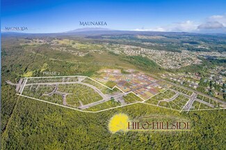 4017 Kilakila Place, Hilo, HI 96720