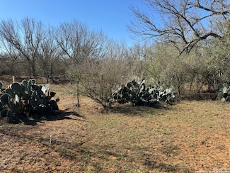 1432 Cr 326, Jourdanton, TX 78026
