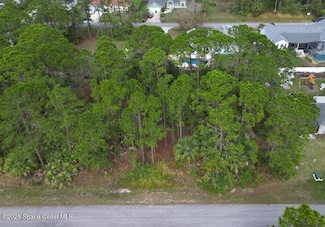 381 Scodella St SW, Palm Bay, FL 32908