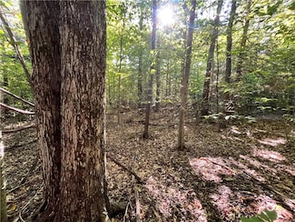 Lot 1 Lockwood Run Rd E, Baldwin, NY 14902