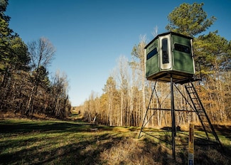 0 Alford-Phelps Ln, Ebenezer, MS 39095