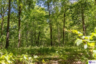 Tract 2 1755 Friendship Church Rd, Munfordville, KY 42765