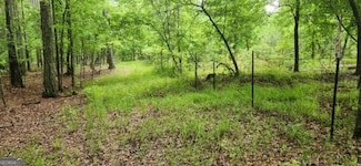 678 Seabolt Rd, Locust Grove, GA 30248
