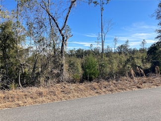 5905 SW 298th St, Newberry, FL 32669