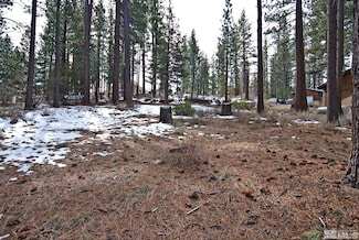 50 Pinon Rd, Markleeville, CA 96120