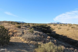 0 Santa Barbara Canyon Rd Unit V1-21678, Cuyama, CA 93254