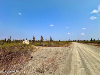 50900 S Summit Loop, Remote, AK 99000