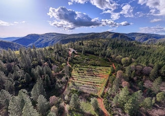 10571 Sebastopol Rd, North San Juan, CA 95960