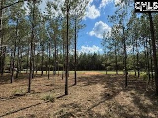 HHF 6 Old Georgetown Rd W Unit HHF 6, Kershaw, SC 29067